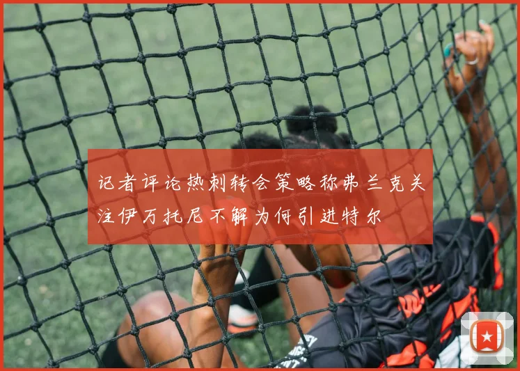 记者评论热刺转会策略称弗兰克关注伊万托尼不解为何引进特尔
